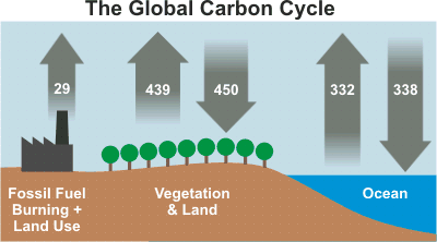 Carbon_Cycle_IPCC_AR4